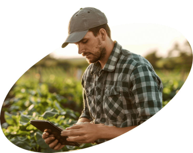 <em>Azospirillum brasilense:</em> </br> para uma produção com novos níveis de eficiência e sustentabilidade.