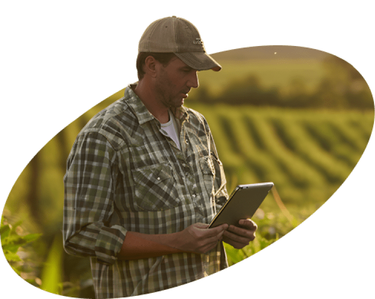 <em>Bradyrhizobium japonicum:</em> <br/> Tecnologia inovadora que potencializa a produtividade