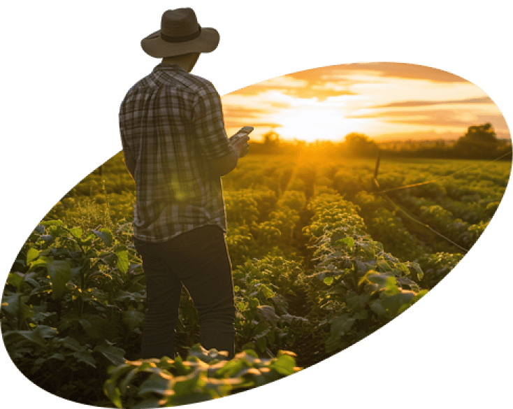 <em>Trichoderma asperelloides</em> <br/> A solução que seu solo precisa para culturas mais produtivas.