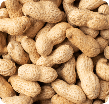 Transforme desafios em resultados