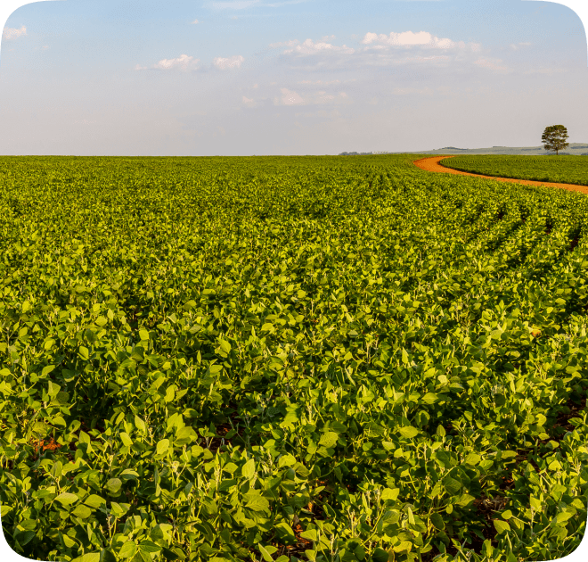 Soluções eficazes para diversas necessidades agrícolas