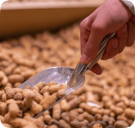 A solução que acompanha o crescimento do amendoim