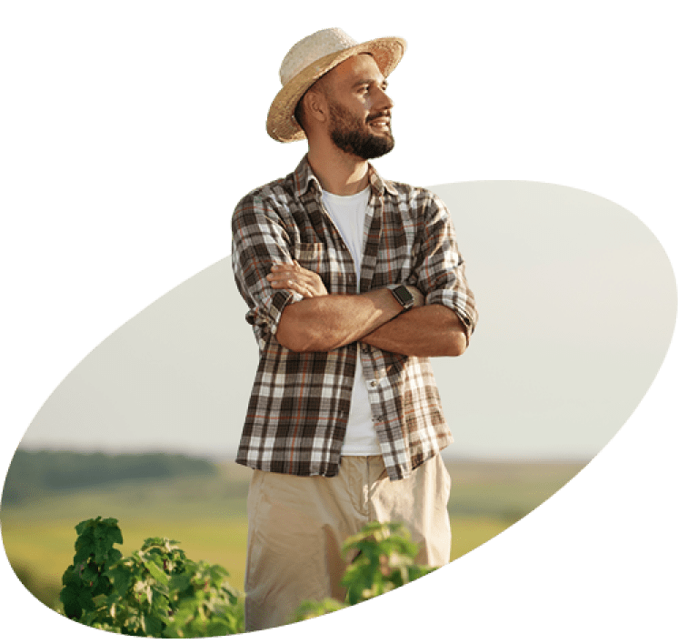 BioPartners <em>Bradyrhizobium sp. :</em> produtividade e saúde do solo, assegurando colheitas mais rentáveis e práticas agrícolas sustentáveis.