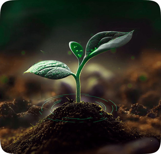 <em>Trichoderma asperelloides</em>