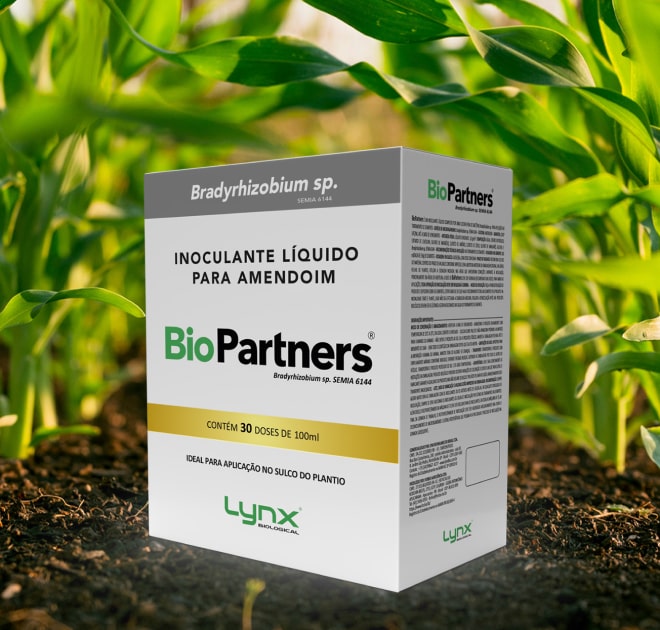 Benefícios e potencial na fixação biológica de nitrogênio 