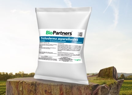 BioPartners <i>Trichoderma asperelloides</i>